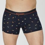 Bokserice David