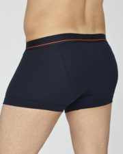 Bokserice David